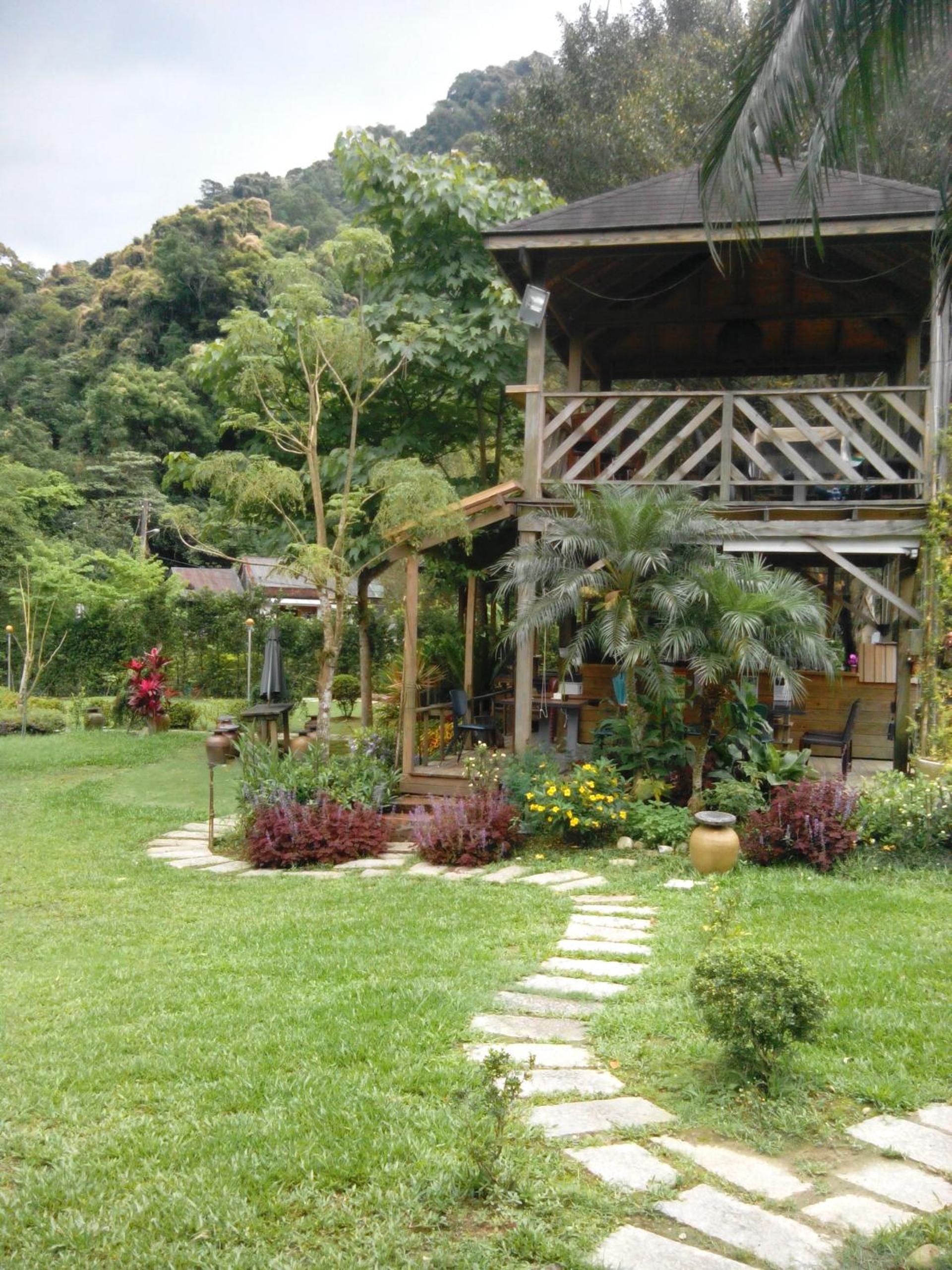Reishi Expert B&amp;B 25/26