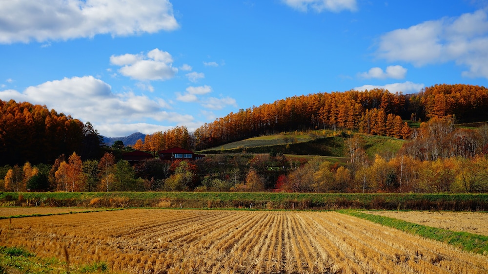 FURANO NATULUX HOTEL 44/50