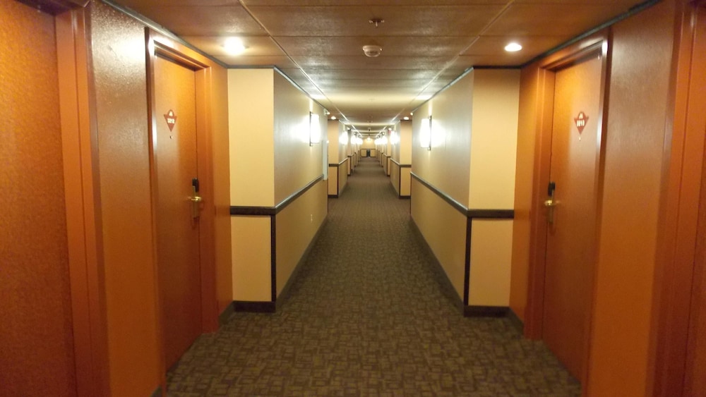 Avi Resort Casino 44/50