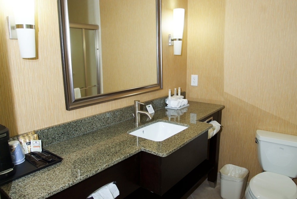 Holiday Inn Express & Suites Clemson - Univ Area 18/82