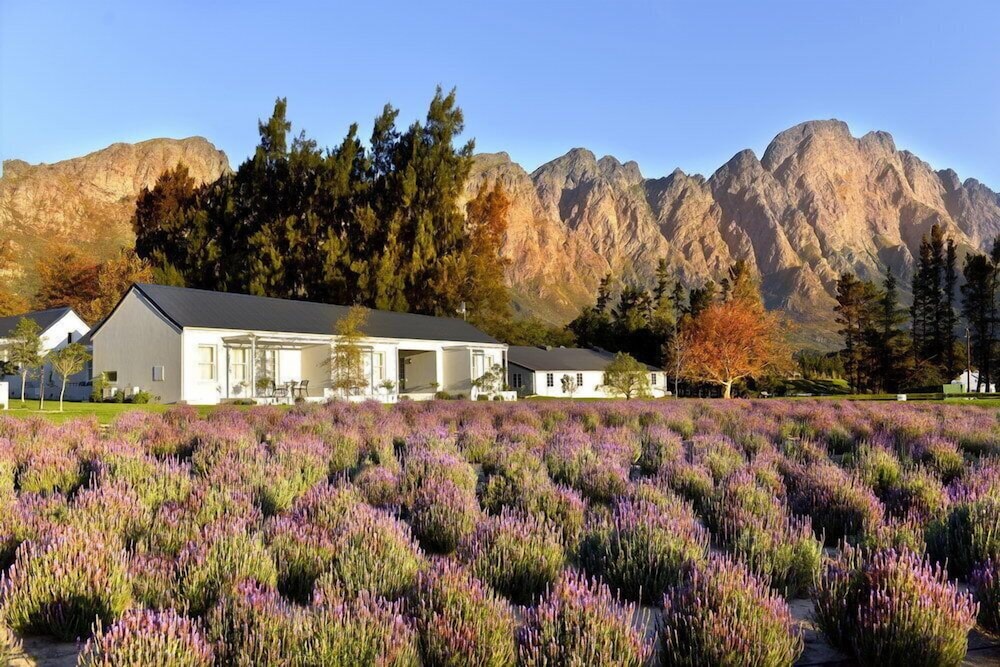 Lavender Farm Guest House 20/31