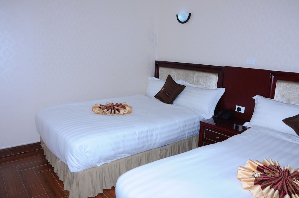 Gzara Hotel Addis 9/39