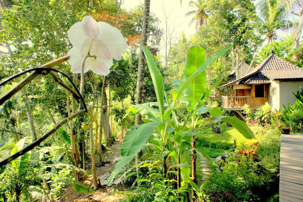 Prashanti Ubud 39/50