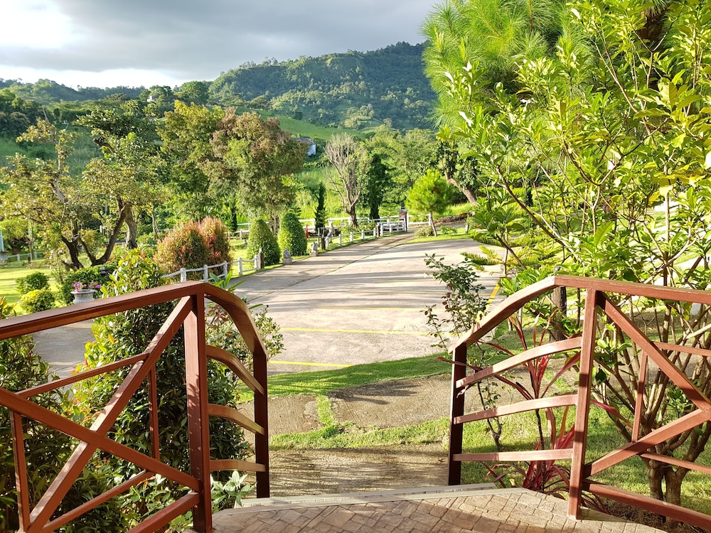 Foresta Hill Resort 2/41