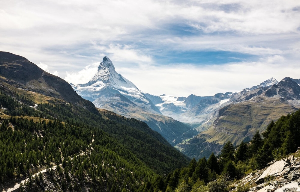 Derby Zermatt 49/54