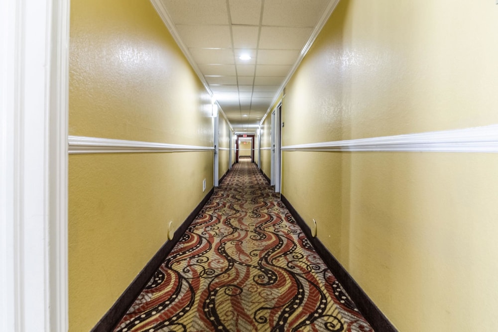 Rodeway Inn & Suites Jacksonville Near Camp Lejeune 23/51
