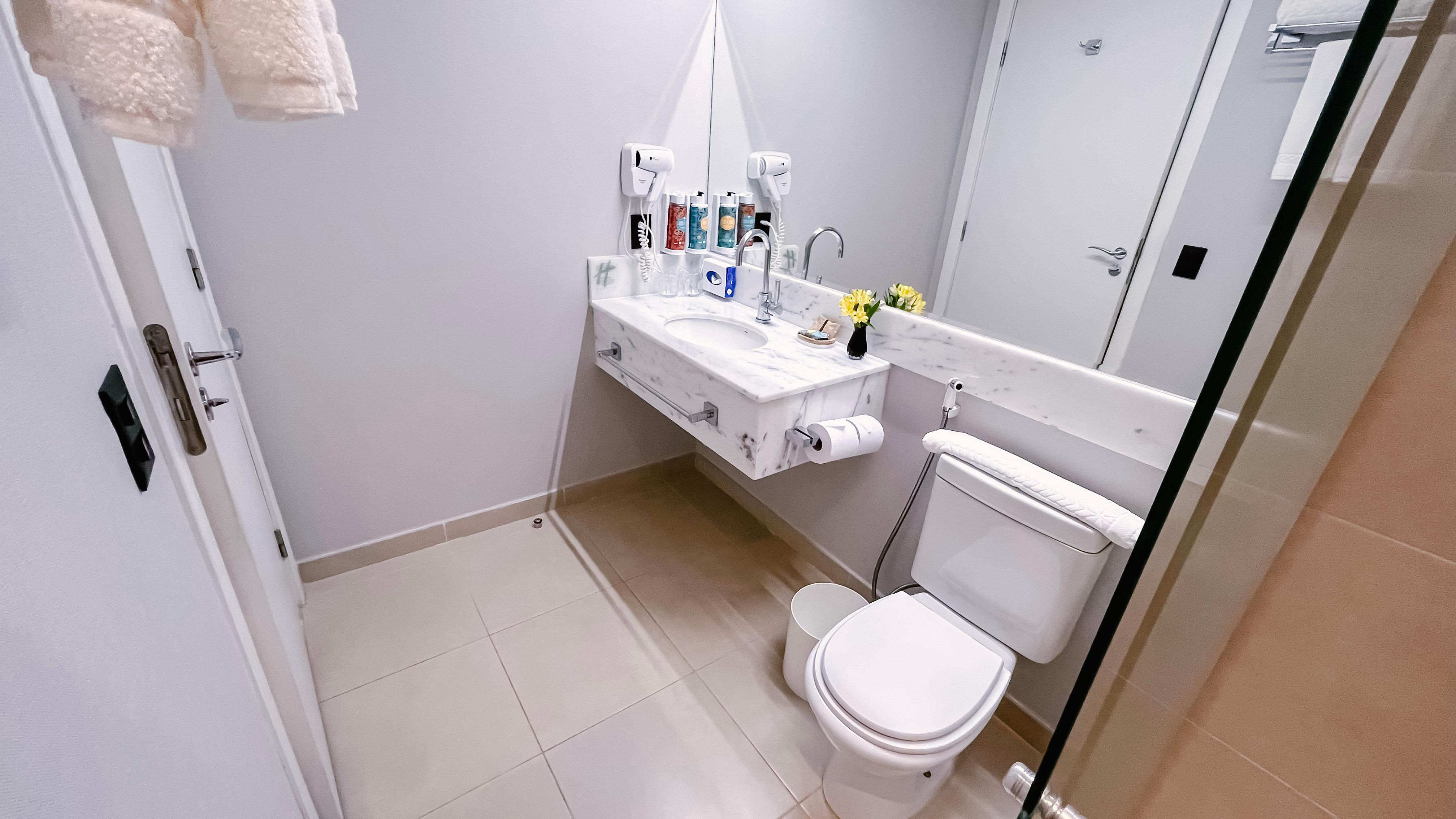غرفة بريميوم بسرير مزدوج بإطلالة على المدينة، Holiday Inn Belo Horizonte Savassi 3/3