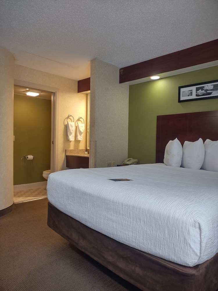 Baymont By Wyndham Flat Rock 12/49