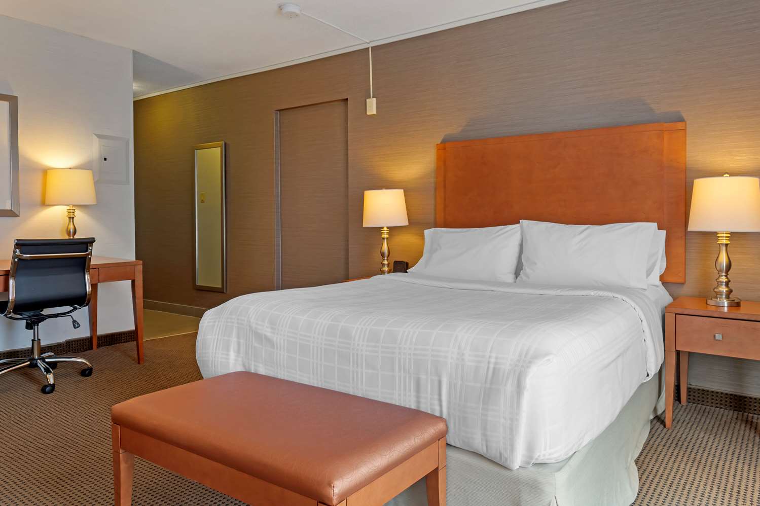 Room, Queen Bed, Accessible