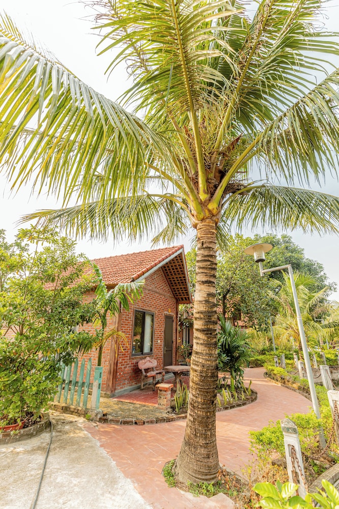 Tam Coc Green Garden Bungalow 17/37
