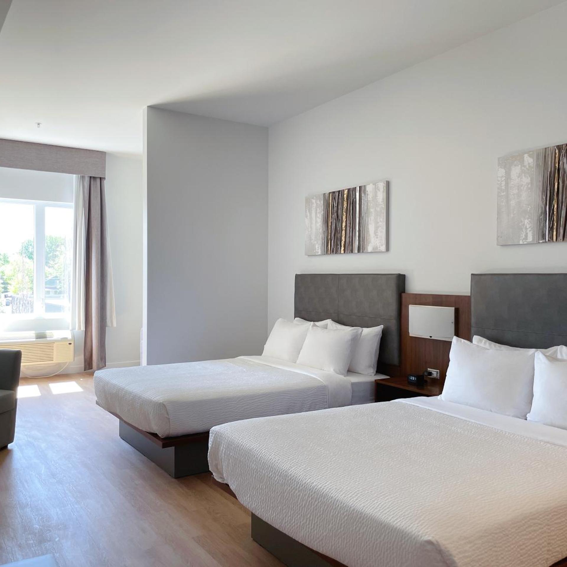 Suite, Queen Bed, Sofa