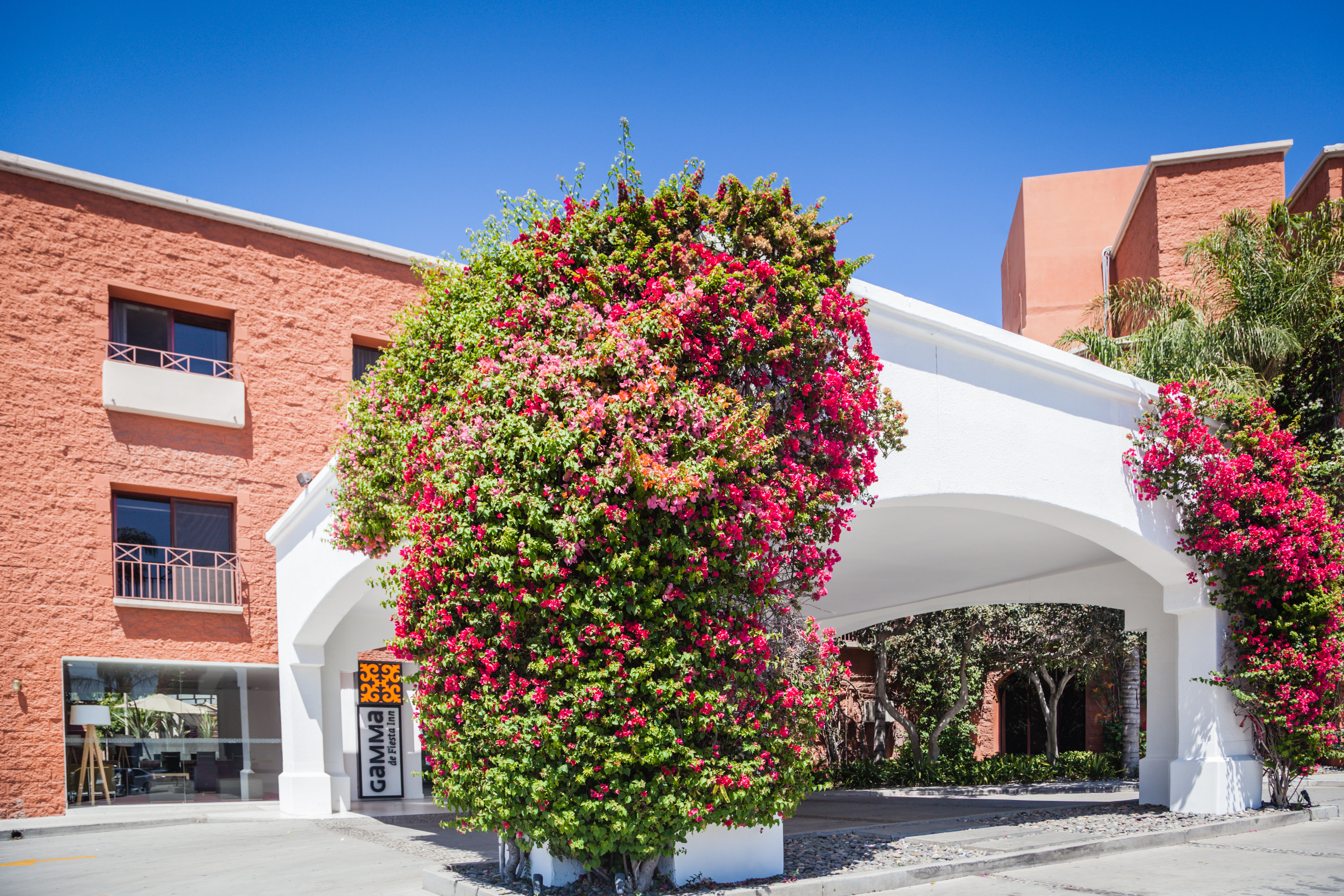 Hilton Garden Inn Tijuana Airport 9/56
