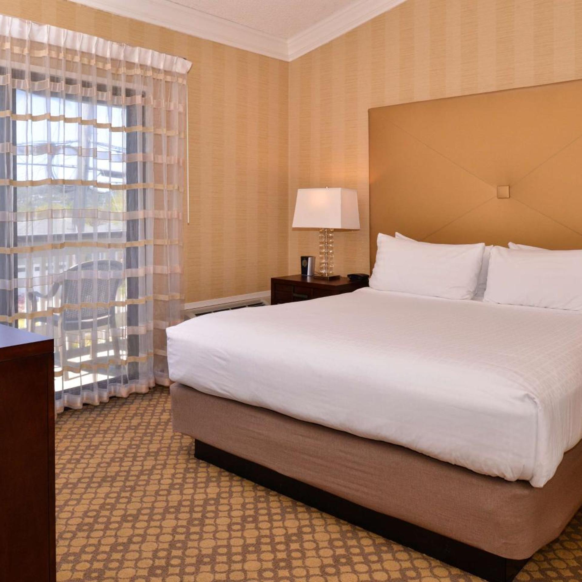 1 Bedroom, Suite, King Bed
