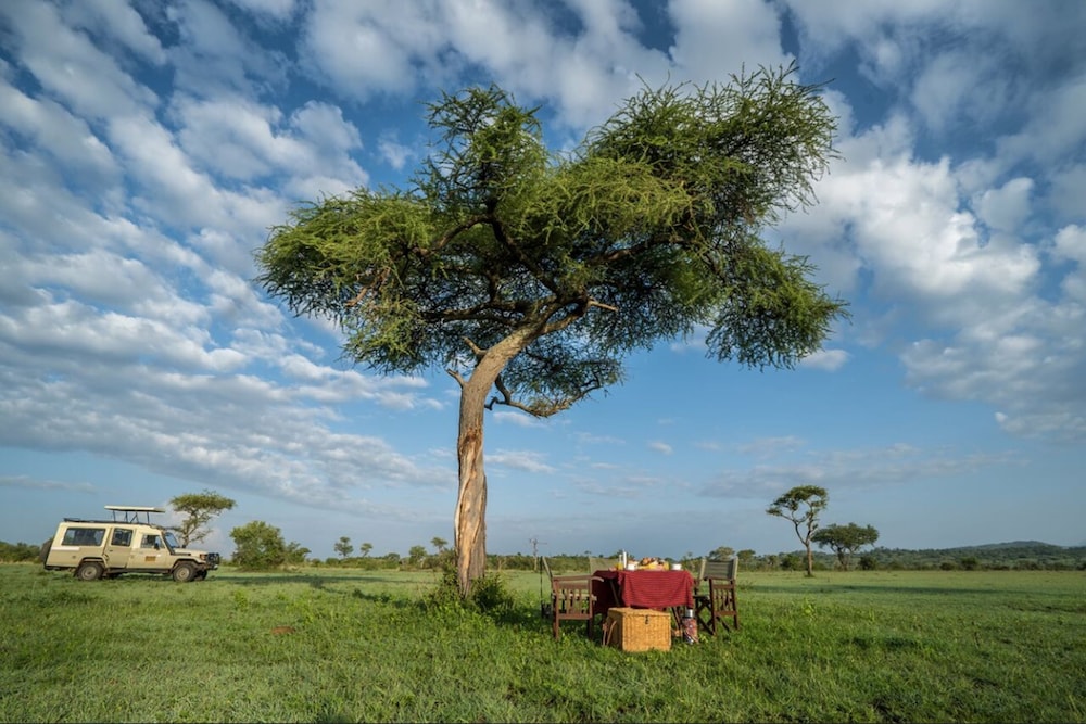 Serengeti Simba Lodge 23/30