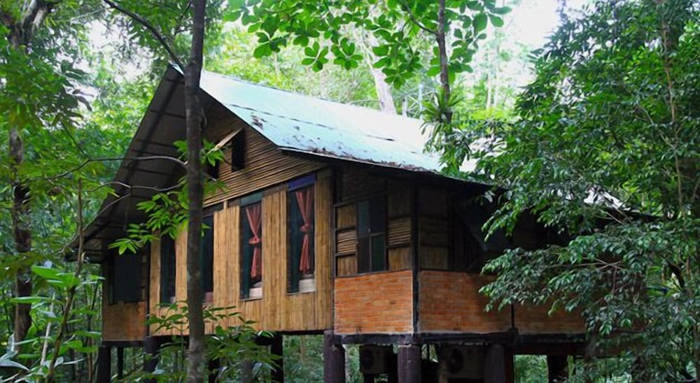 Khao Sok Tree House 2/50