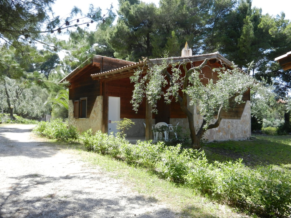 surroundings