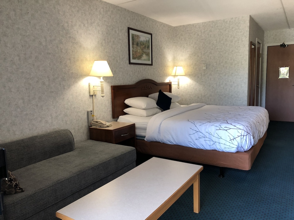 Canadas Best Value Inn Suites Castlegar 18/38