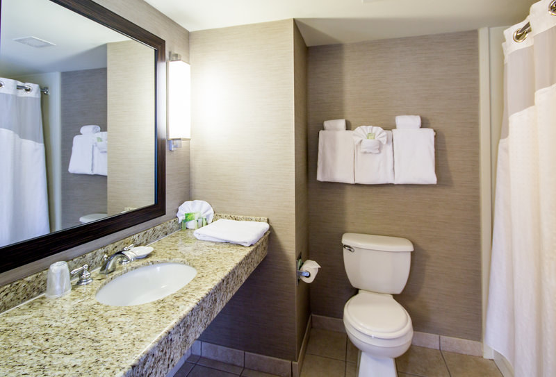 Holiday Inn Express Hotel And Suites Auburn 35/42