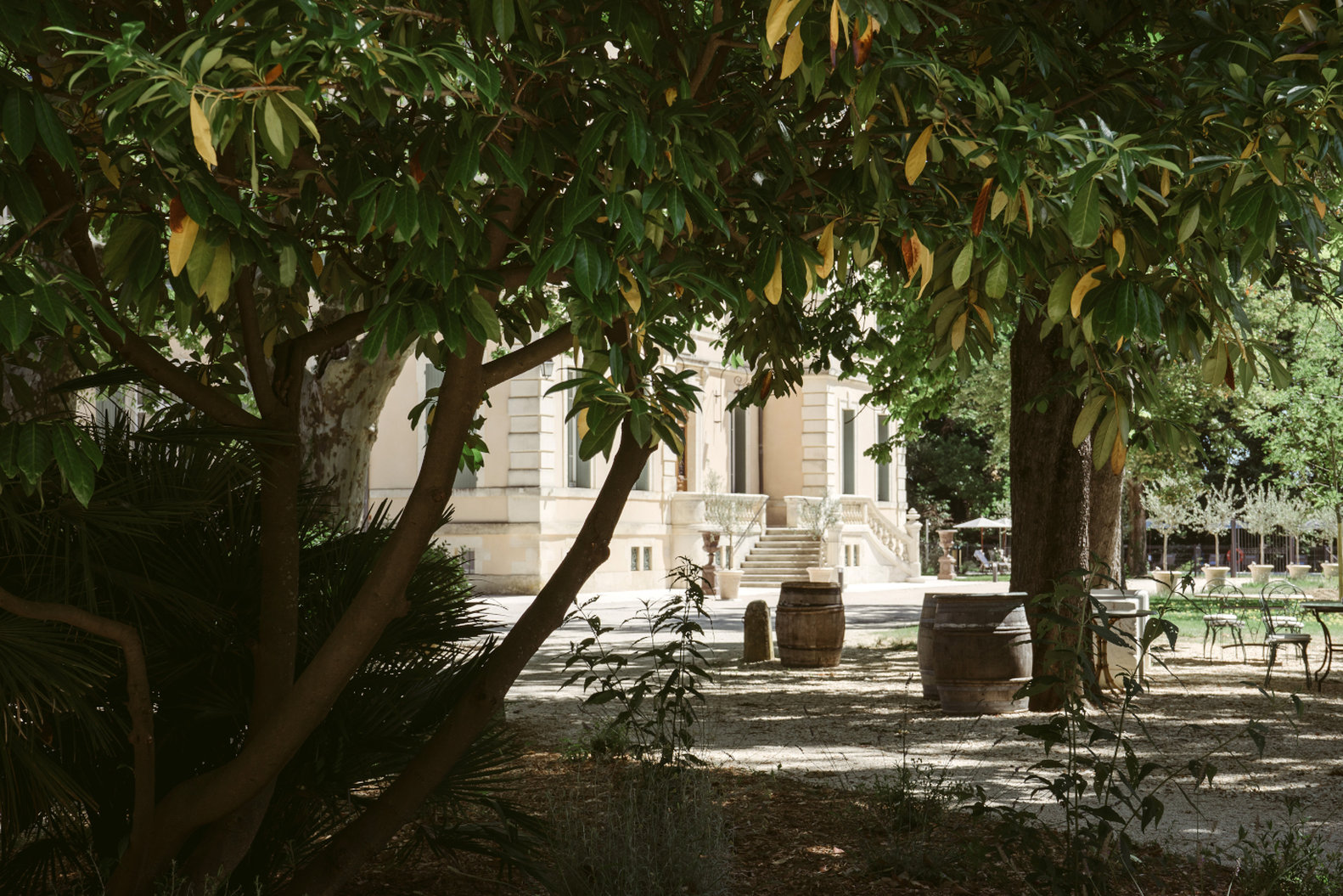 CHATEAU DE MONTCAUD 46/50
