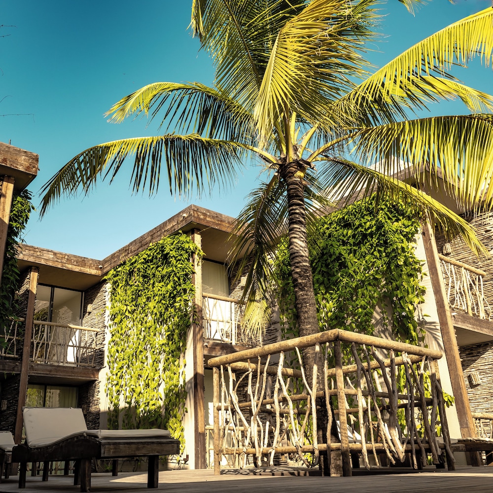 Apenunga Eco Hotel 61/68