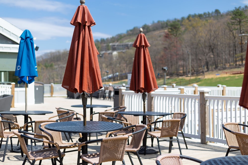 Mountainside Villas At Massanutten By Kees Vacations 32/49