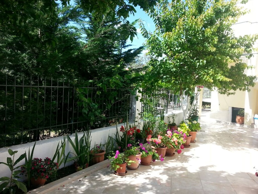 Elena's Garden 36/41