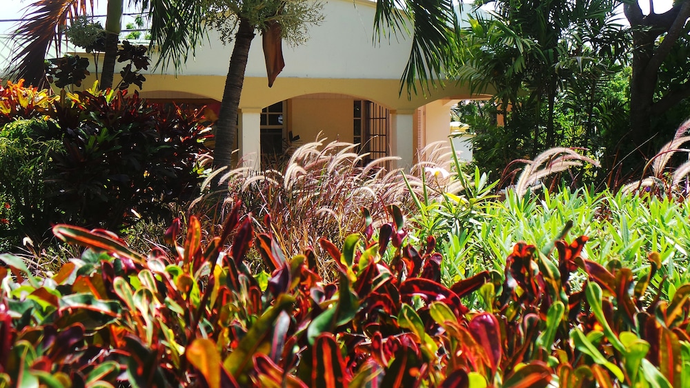 BLUE HORIZONS GARDEN RESORT 30/43