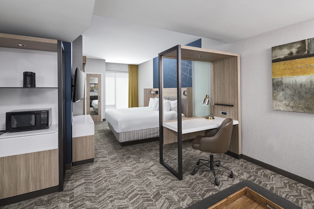 Springhill Suites By Marriott Downtown Greenville 20/63