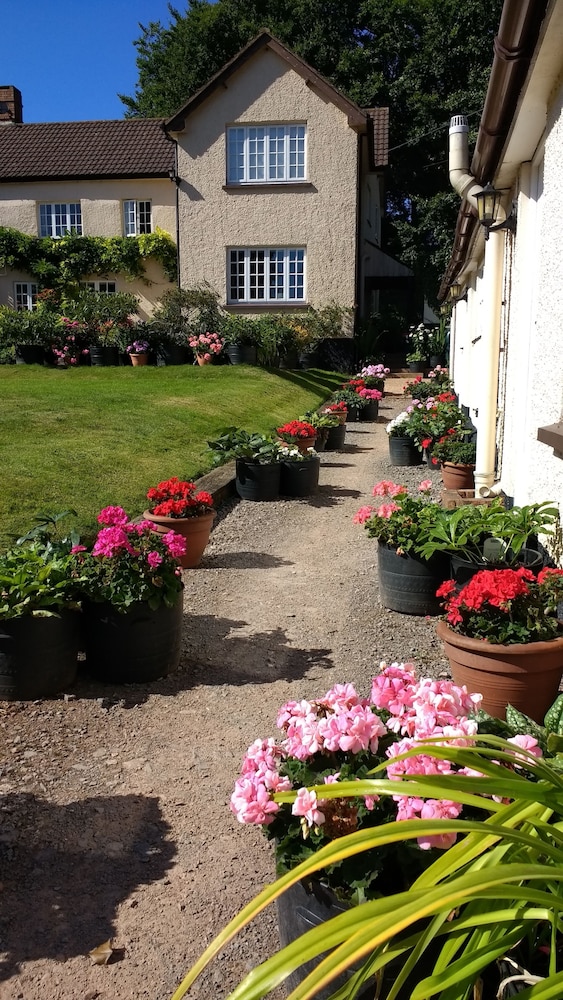 Brambles B&amp;B 42/49
