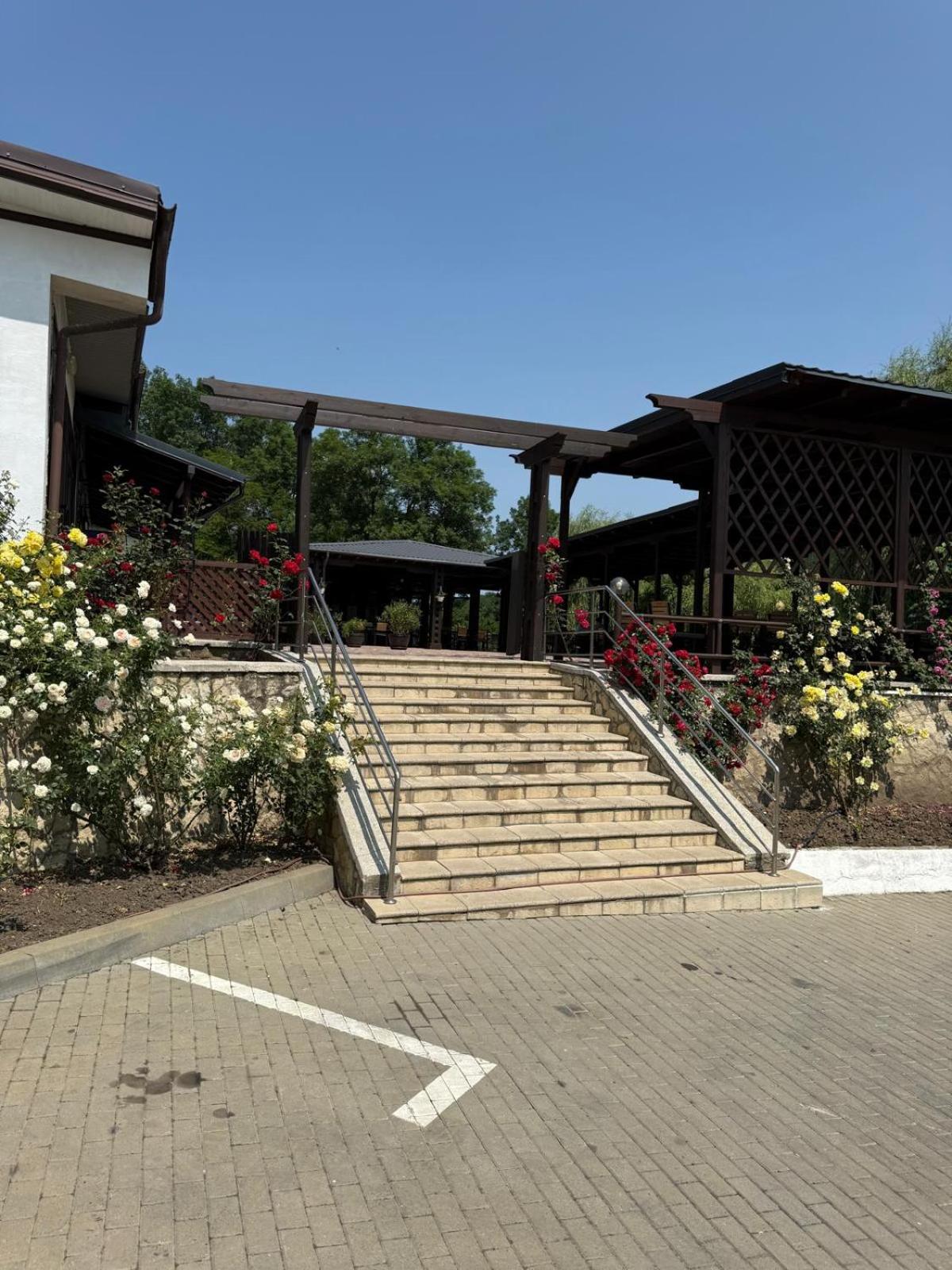 Ciric Hotel 35/46