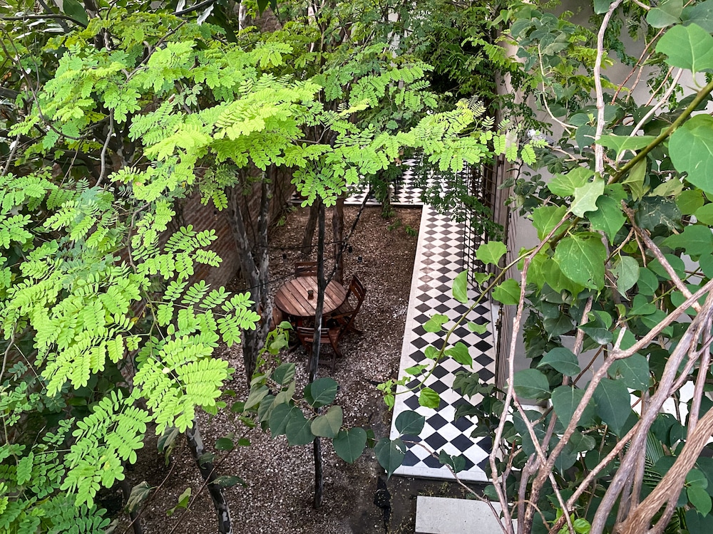Casa Charlotte Alma Hotels 33/50