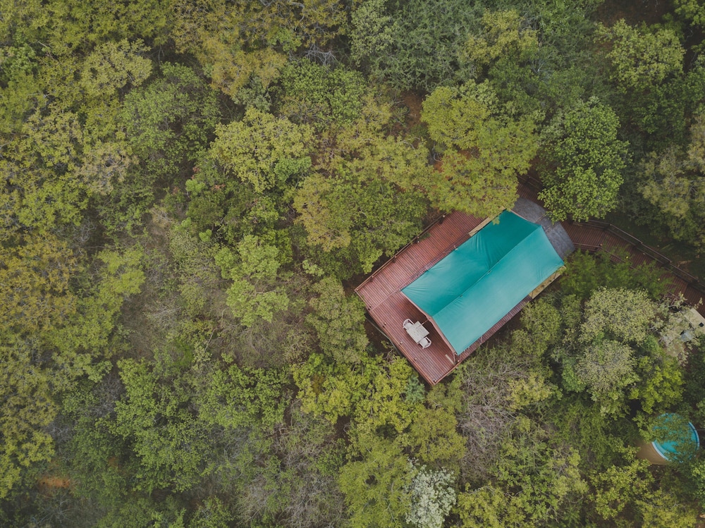 Amafu Forest Lodge 17/50