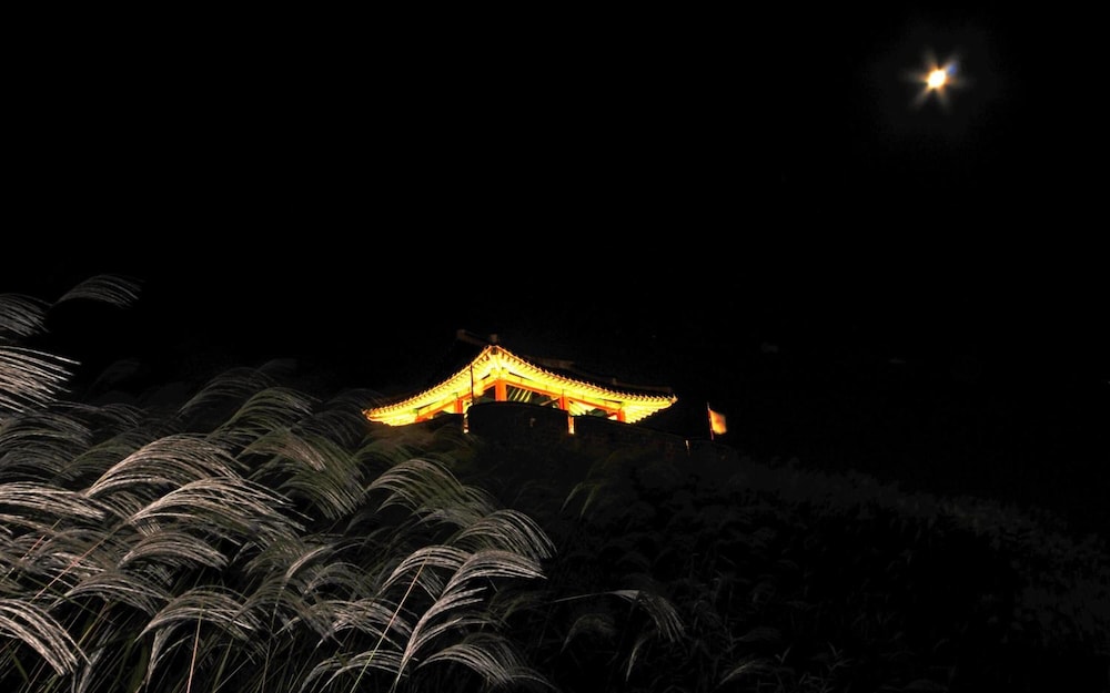 Hwaseong Guest House - Hostel 66/66