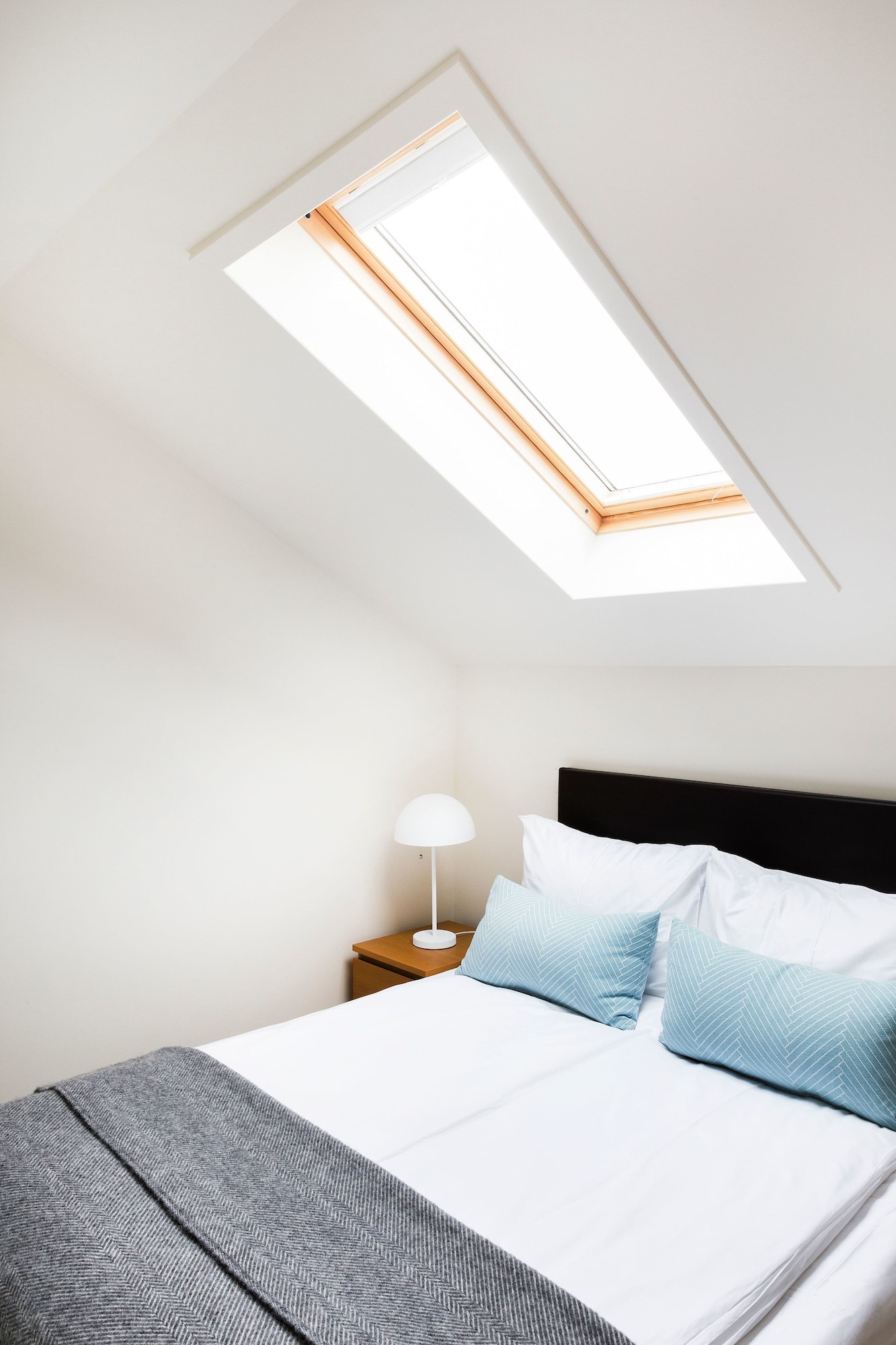 LOFT, SUITE