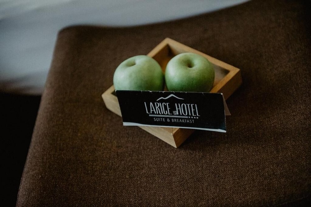 Hotel Larice Suite&Breakfast 34/60
