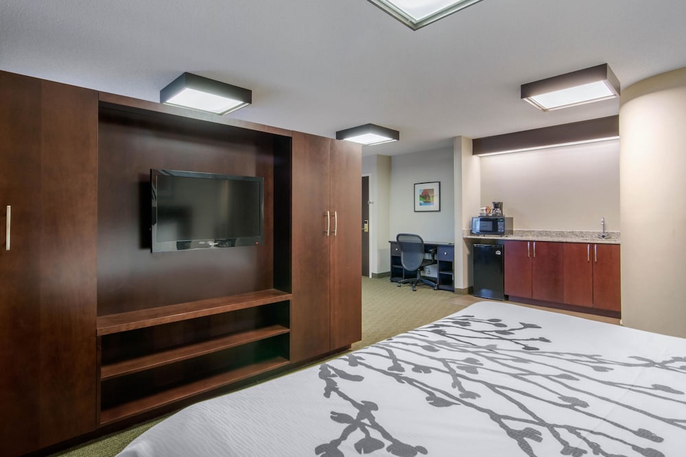 Sleep Inn Sault Ste. Marie 16/41