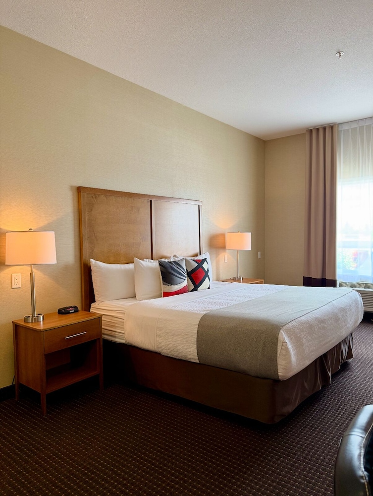 Premium, Studio, Suite, King Bed