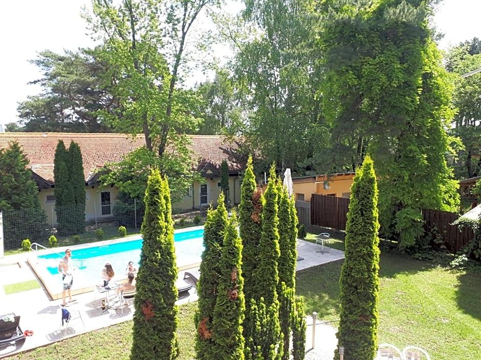 Korona 36/49