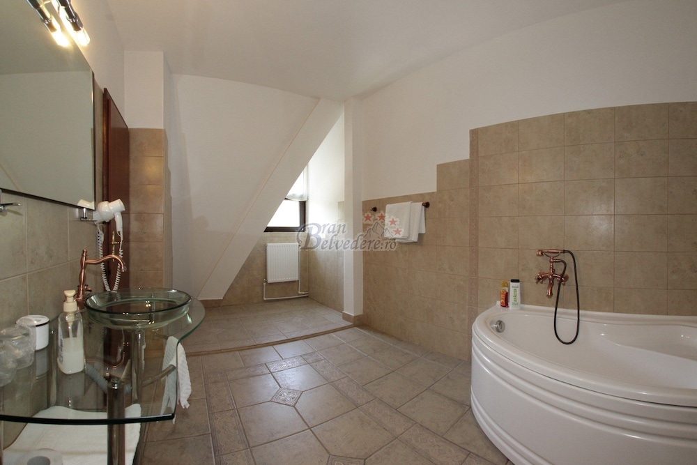 Bran Belvedere International 24/53