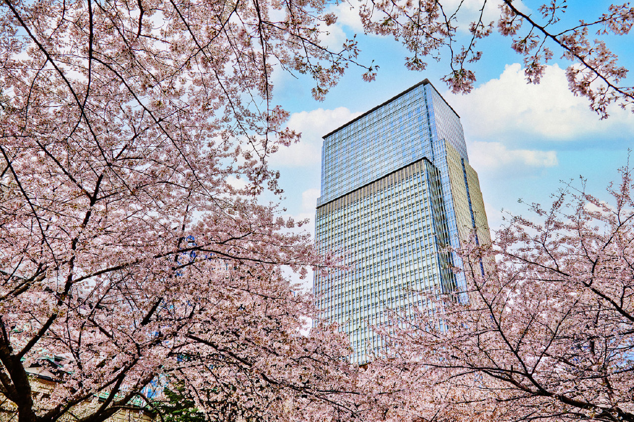 Mandarin Oriental Tokyo 4/50