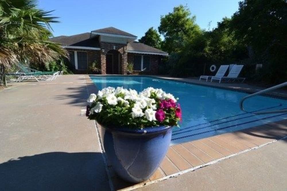 Far View - A Bed & Breakfast Estate 25/50