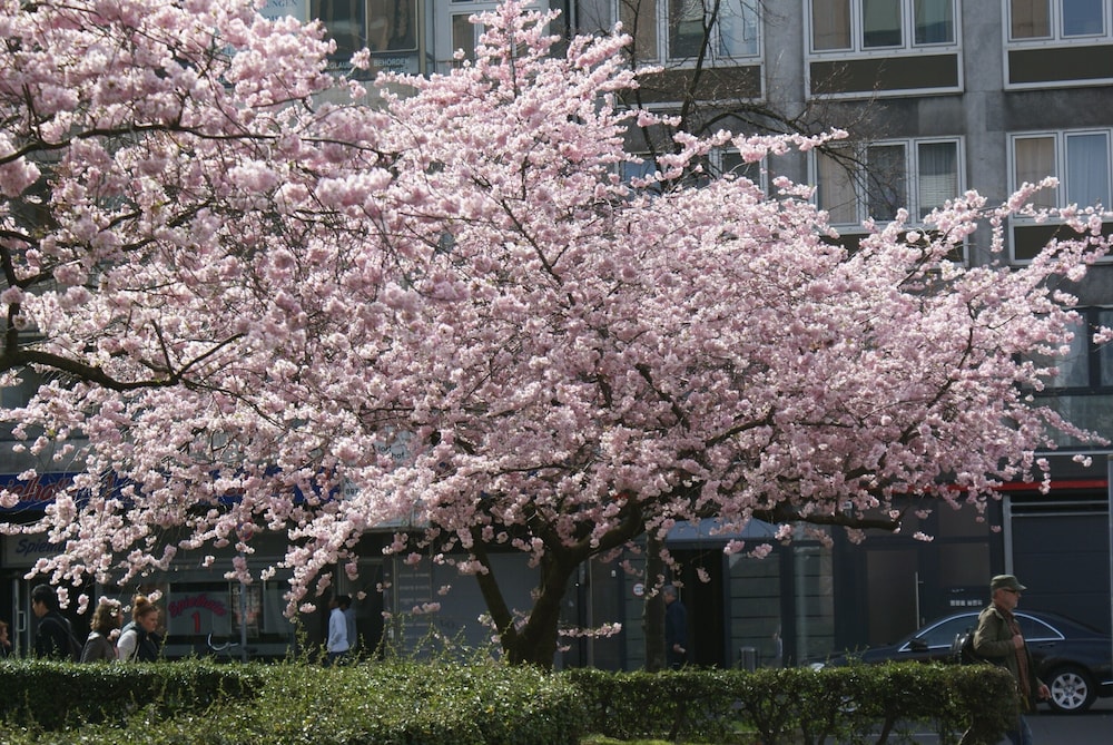 Bahn酒店Düsseldorf(Bahn-Hotel Düsseldorf) 图片5