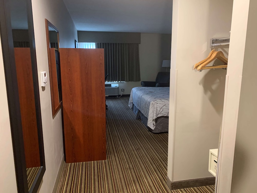 Best Western Park Oasis Inn 22/34