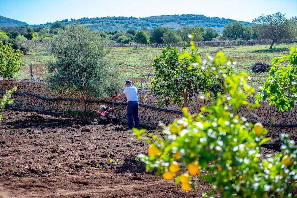 Finca Sos Ferres D'en Morey 41/50