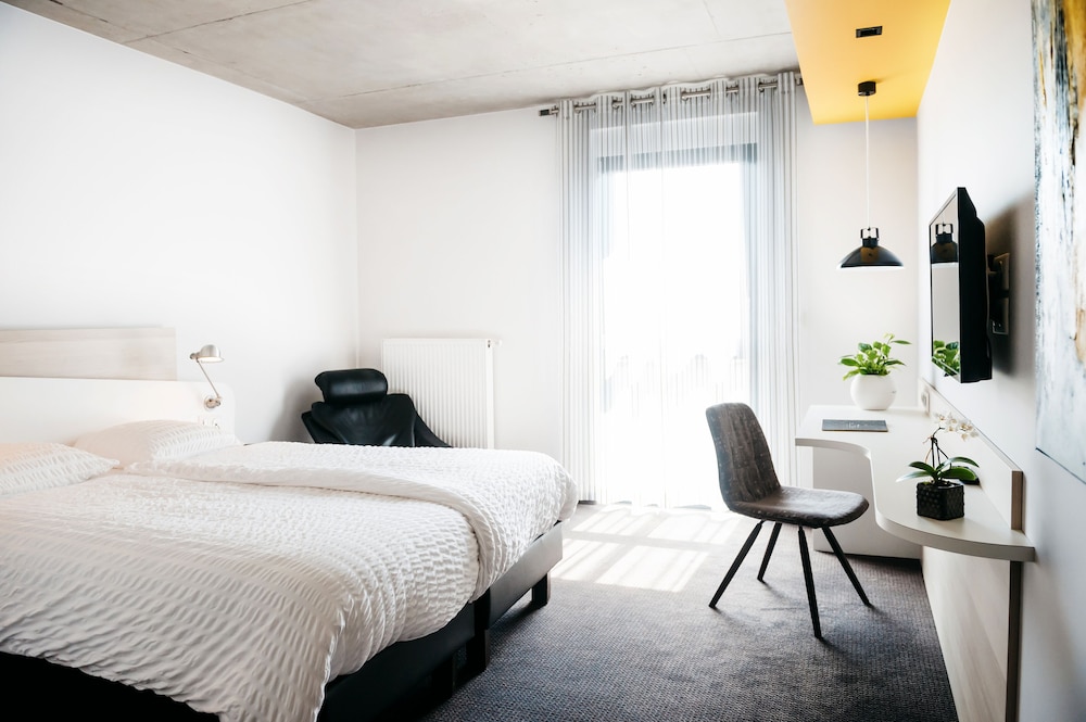 Hotel Au Lion Rouge 11/50