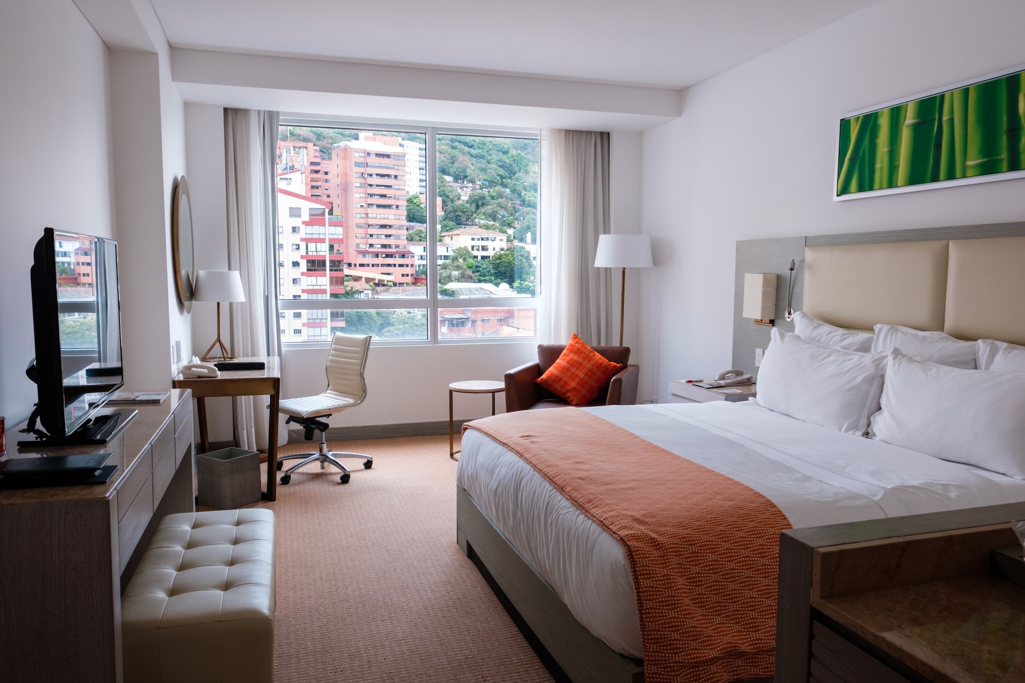Room, King Bed