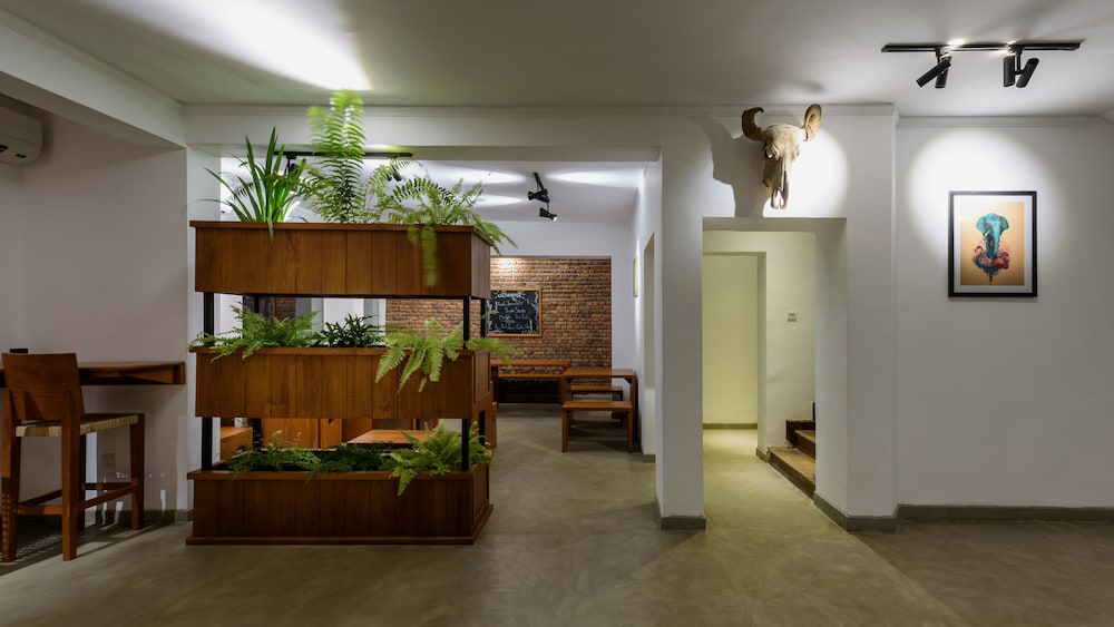 Fern Colombo 24/28