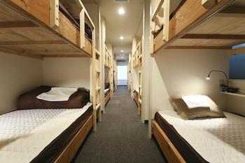 Mixed Dorm, Shared Bathroom