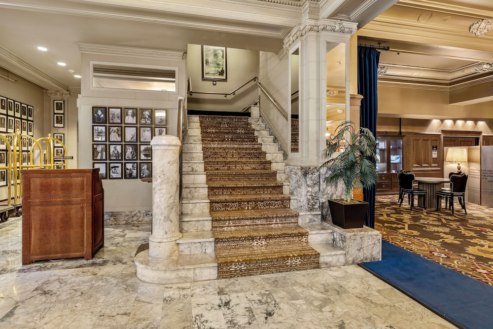Arctic Club Hotel 7/50