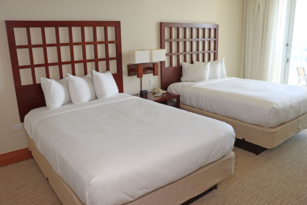 COMFORT, STUDIO, SUITE